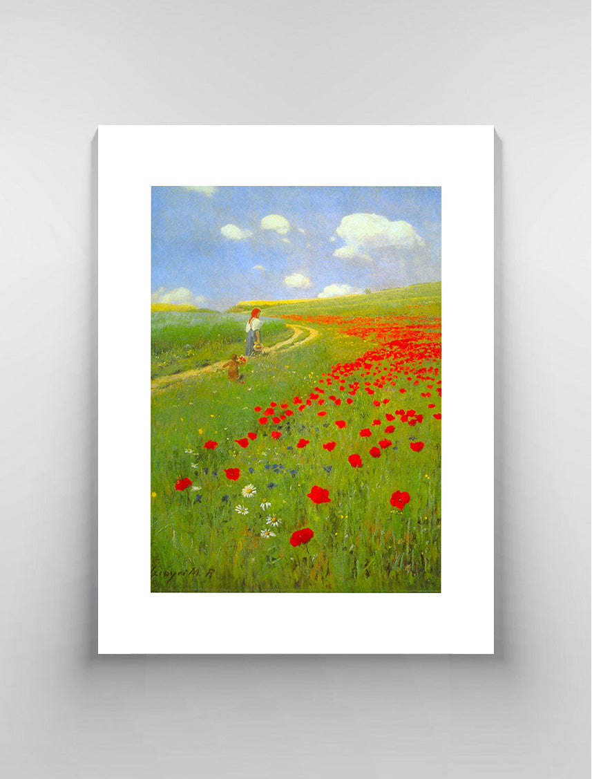 Field of Poppies by Merse
